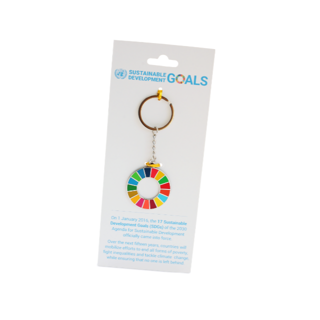 【5個セット】SDGs　キーホルダー　国連本部正規輸入品　ﾋﾟﾝﾊﾞｯｼﾞ代替スマホ/家電/カメラ