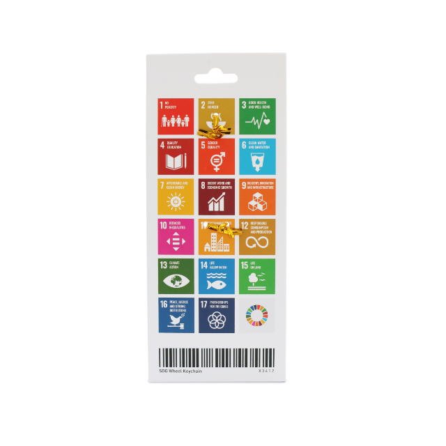 【5個セット】SDGs　キーホルダー　国連本部正規輸入品　ﾋﾟﾝﾊﾞｯｼﾞ代替スマホ/家電/カメラ