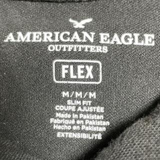 アメリカンイーグル(American Eagle)のAMERICAN EAGLE(ポロシャツ)