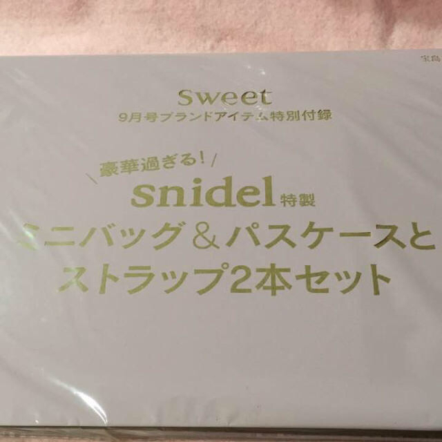 SNIDEL(スナイデル)の⭐️いちご様専用 レディースのバッグ(ハンドバッグ)の商品写真