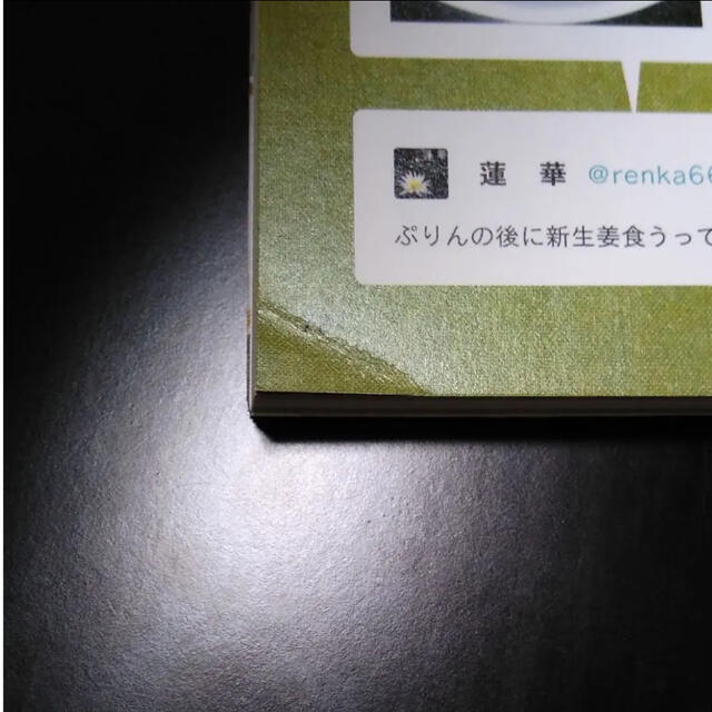 We Love岩下の新生姜 : ツイッターから生まれたFANBOOK エンタメ/ホビーの本(料理/グルメ)の商品写真