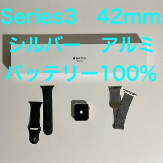 Apple Watch Series3 42mm アルミニウムケース(その他)