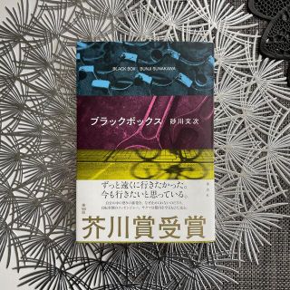 ブラックボックス(文学/小説)