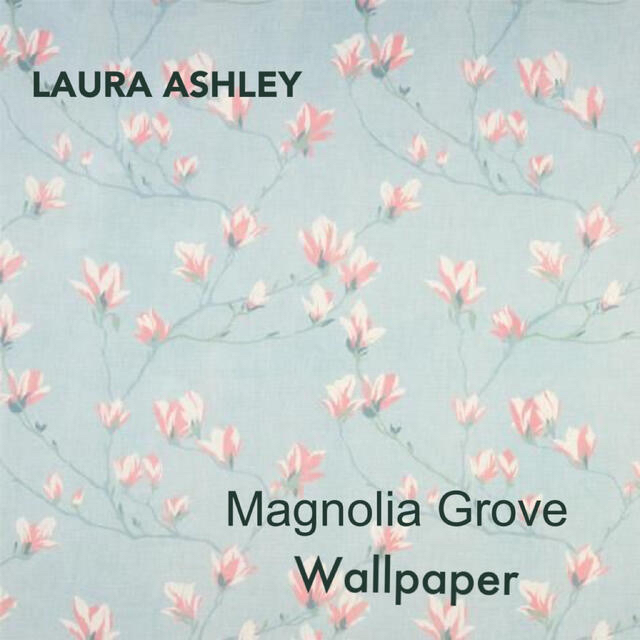 人気提案 Laura Ashley マグノリアグローブ ダックエッグ ローラアシュレイ新品壁紙 その他 Www Oroagri Eu 人気提案 Laura Ashley マグノリアグローブ ダックエッグ ローラアシュレイ新品壁紙 その他 Www Oroagri Eu