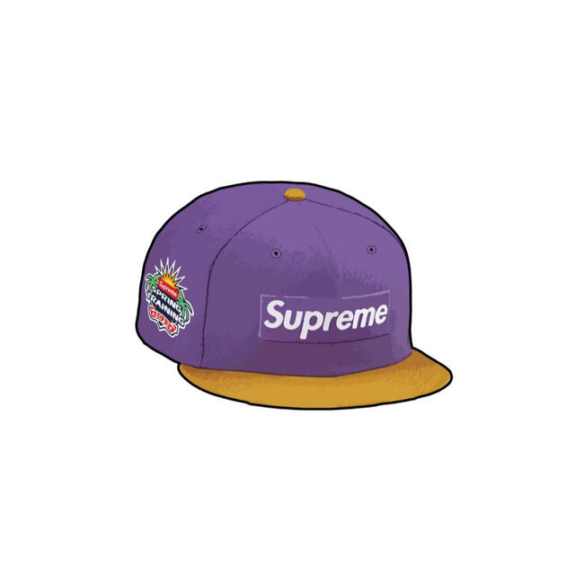 Supreme(シュプリーム)のSupreme 2-Tone Box Logo New Era "Purple" メンズの帽子(キャップ)の商品写真