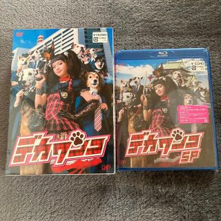 Johnny's - [新品]デカワンコ DVD-BOX(6枚組) / デカワンコSP Blu ...