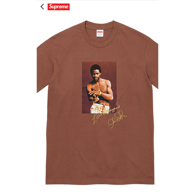 Supreme(シュプリーム)のSupreme Al green tee メンズのトップス(Tシャツ/カットソー(半袖/袖なし))の商品写真