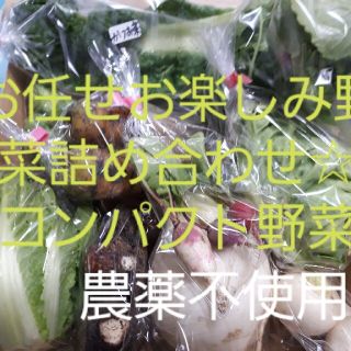 お任せお楽しみ野菜詰め合わせ(コンパクト野菜)(野菜)