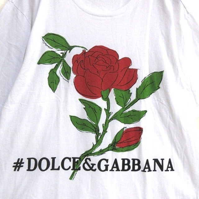 激レア DOLCE\u0026GABBANA ドルガバ Tシャツ バラ 薔薇 ストライプ