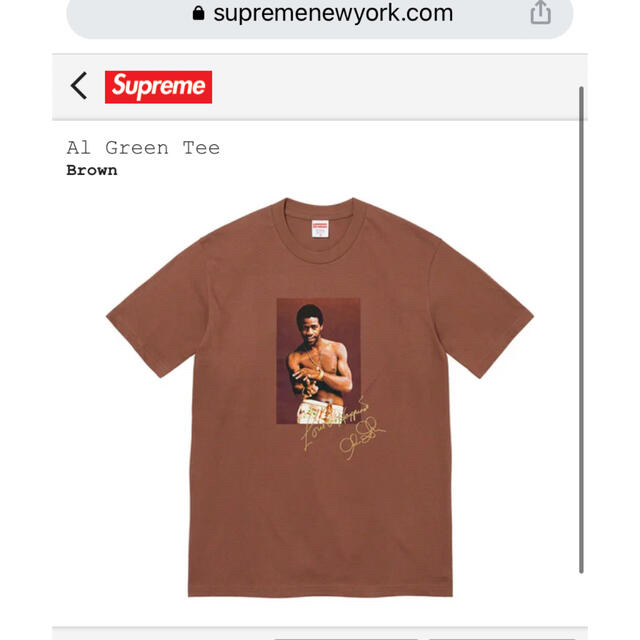 メンズSupreme Al Green Tee Brown  Lサイズ