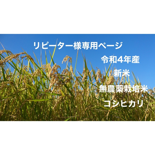 リピーター様専用 無農薬栽培米コシヒカリ 玄米・精米 令和3年 徳島県
