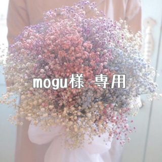 mogu様 専用(ネームタグ)