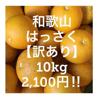 和歌山　はっさく【訳あり】ご家庭用(フルーツ)