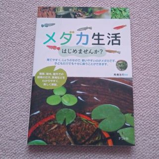 メダカ生活はじめませんか？(住まい/暮らし/子育て)