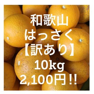 和歌山　はっさく【訳あり】ご家庭用(フルーツ)