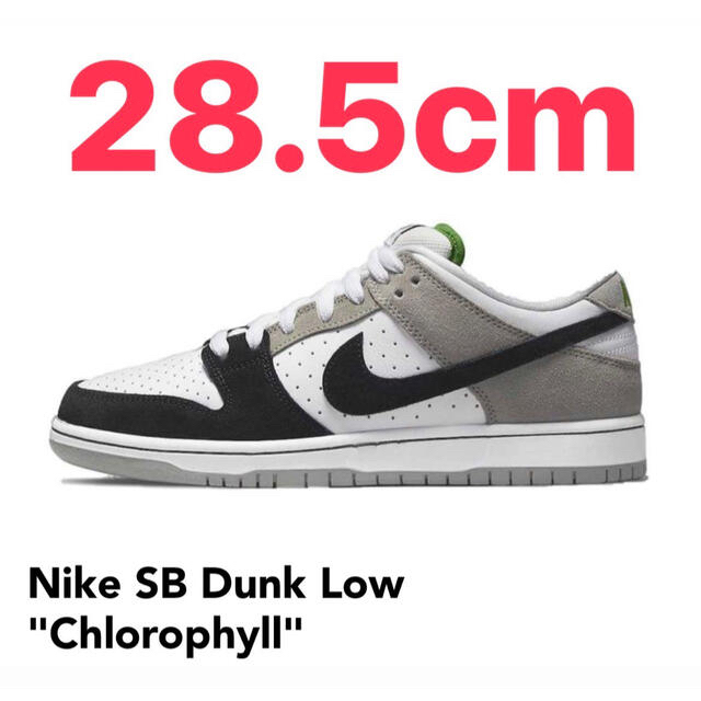 NIKE(ナイキ)のNike SB Dunk Low Chlorophyll 28.5cm メンズの靴/シューズ(スニーカー)の商品写真