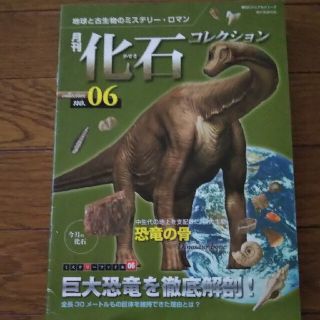 アサヒシンブンシュッパン(朝日新聞出版)の月刊化石コレクション 地球と古生物のミステリ－・ロマン ｎｏ．０６(科学/技術)