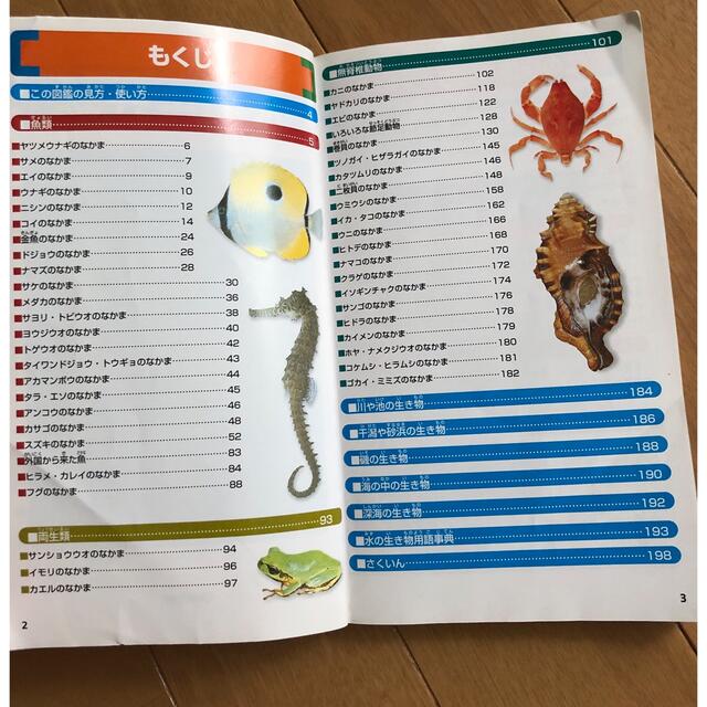 水の生き物 ポケット版 学研の図鑑4 魚 両生類 甲殻類 梳かし 携帯用 水の生き物 ポケット版 学研の図鑑4 魚 両生類 甲殻類 梳かし 携帯用