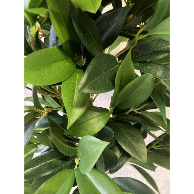 光触媒　人工観葉植物　ウォールグリーン　フェイク　アレンジ　ローレル128 4