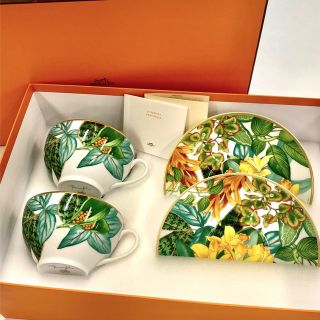 【希少新品】エルメス モーニングティーカップ ソーサー 2客 パシフォリア 【希少新品】エルメス モーニングティーカップ ソーサー 2客 パシフォリア
