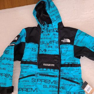 シュプリーム(Supreme)のSupreme the northface 21ss(マウンテンパーカー)