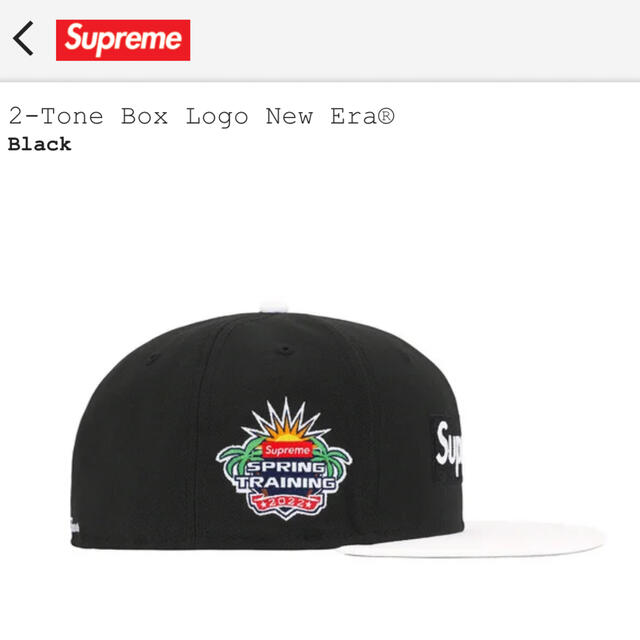 Supreme - Supreme NEW ERA BOX LOGO ニューエラ ニューエラキャップの ...