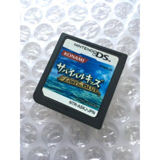 ニンテンドーDS(ニンテンドーDS)のサバイバルキッズ　ロストインブルー(携帯用ゲームソフト)