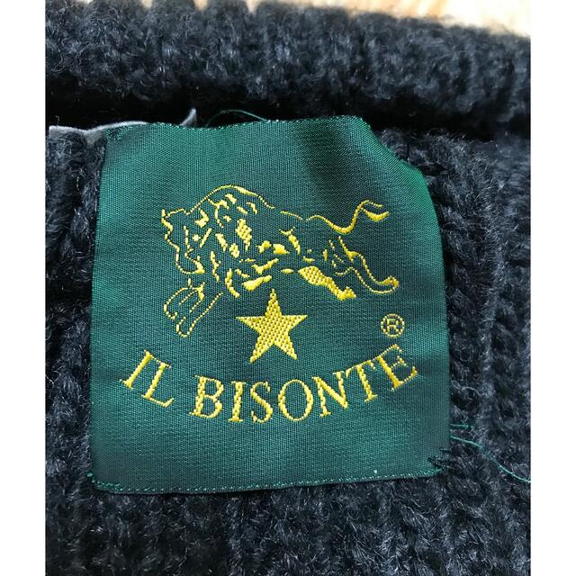 IL BISONTE(イルビゾンテ)のイルビゾンテ　ニット帽 レディースの帽子(ニット帽/ビーニー)の商品写真