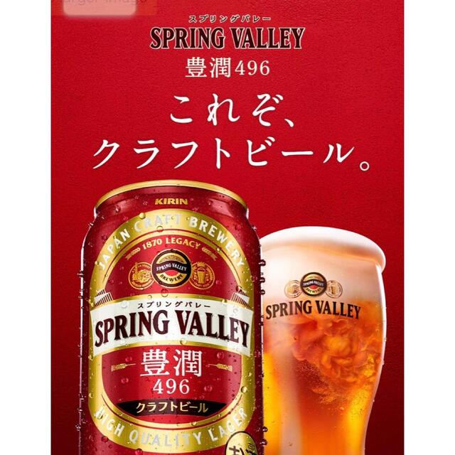 キリン(キリン)のキリン スプリングバレー豊潤496クラフトビール 350ml 2箱 食品/飲料/酒の酒(ビール)の商品写真