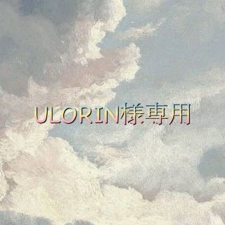 ♡ ULORIN様専用♡(ヘアゴム/シュシュ)