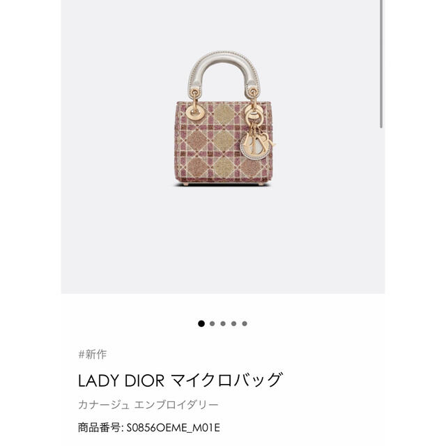 Dior(ディオール)の限定値下げ！新品　激レア　レディディオール　マイクロバッグ レディースのバッグ(ハンドバッグ)の商品写真