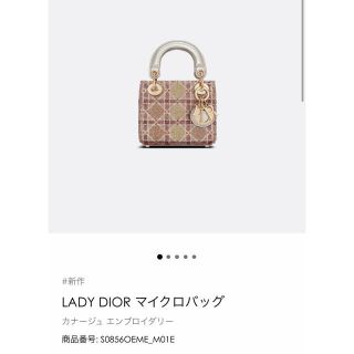 ディオール(Dior)の限定値下げ！新品　激レア　レディディオール　マイクロバッグ(ハンドバッグ)