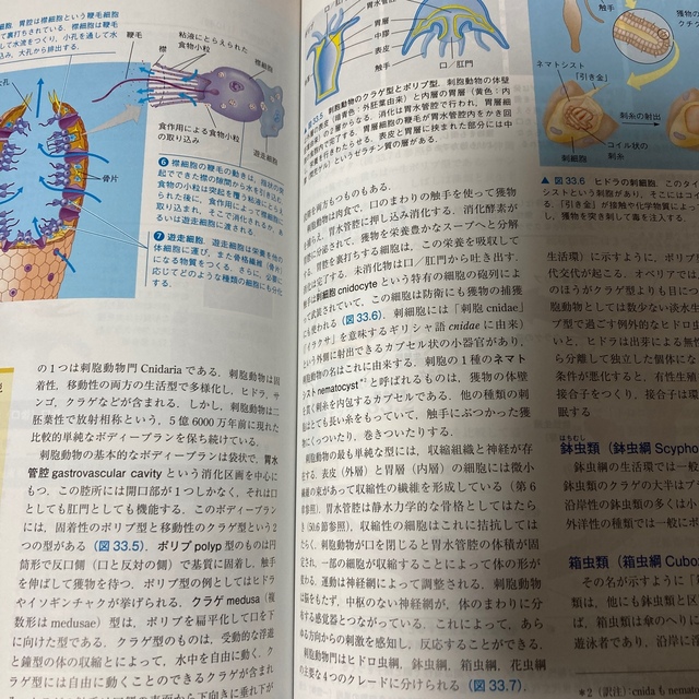 高品質新品 キャンベル生物学 原書９版 丸善出版の通販 by