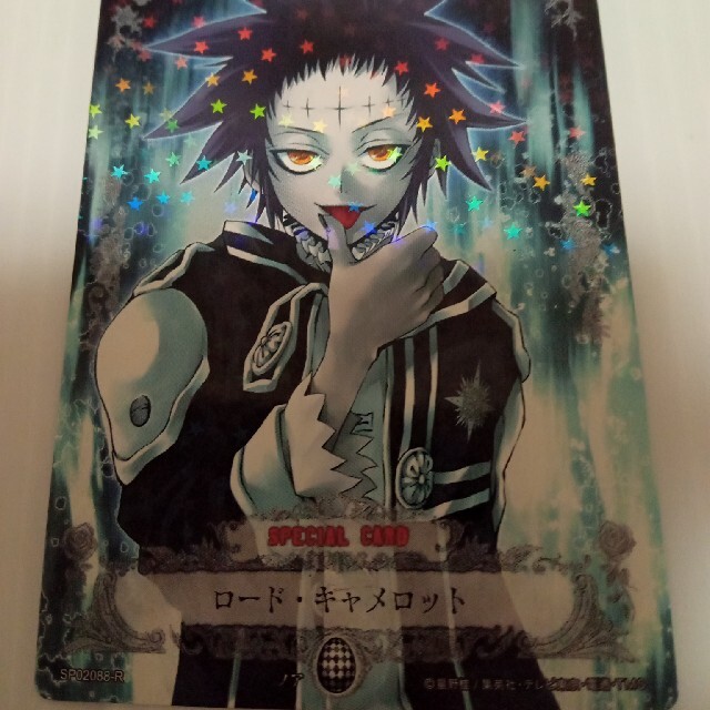 ディー・グレイマン D.Gray-man, おしく Dグレ TradingCard ディー・グレイマン D.Gray-man, おしく Dグレ TradingCard