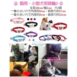 猫首輪 ねこ首輪 小型犬用首輪 濃いめピンク色 kp1