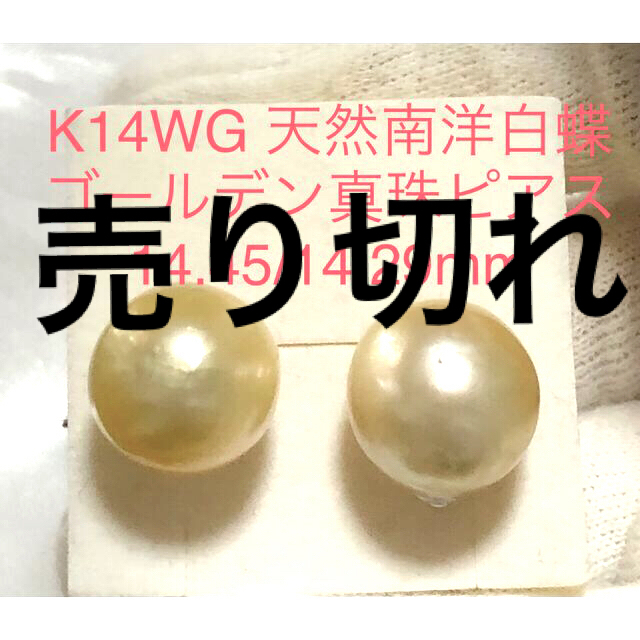 K14WG 天然南洋白蝶ゴールデン真珠ピアス　14.45/14.29mm