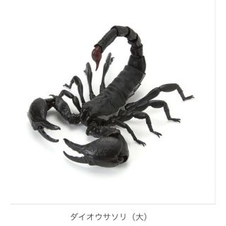 『専用ページ』いきもの大図鑑 ダイオウサソリ大 単品(その他)
