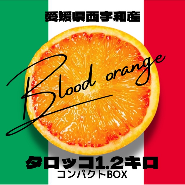 愛媛県産ブラッドオレンジ【タロッコ】1.2キロ 食品/飲料/酒の食品(フルーツ)の商品写真