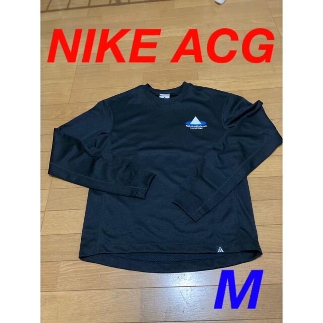 NIKE(ナイキ)のNIKE ACG Wizard Island ロングスリーブ【M】 メンズのトップス(Tシャツ/カットソー(七分/長袖))の商品写真