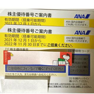 エーエヌエー(ゼンニッポンクウユ)(ANA(全日本空輸))のANA株主優待券(その他)