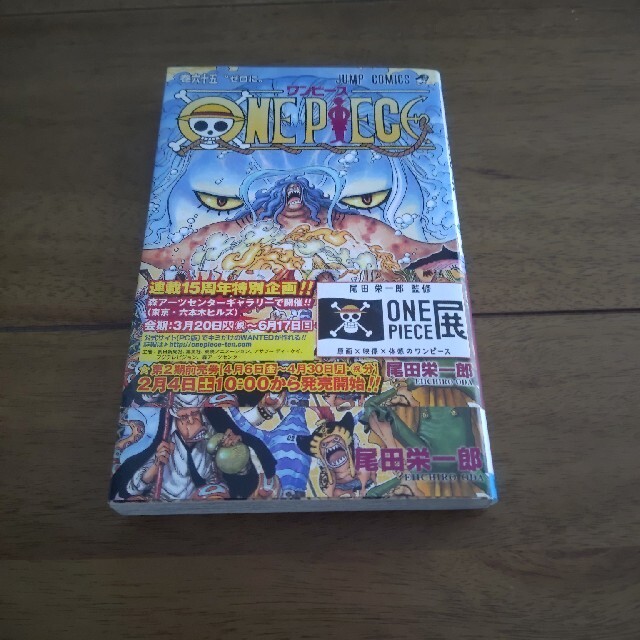 当店限定 ｏｎｅ ｐｉｅｃｅ 巻６５ 高知インター店 Itatavinos Cl