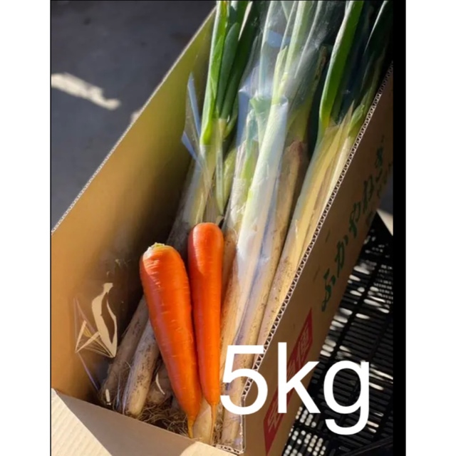 ネギ　深谷ネギ　5kg 食品/飲料/酒の食品(野菜)の商品写真