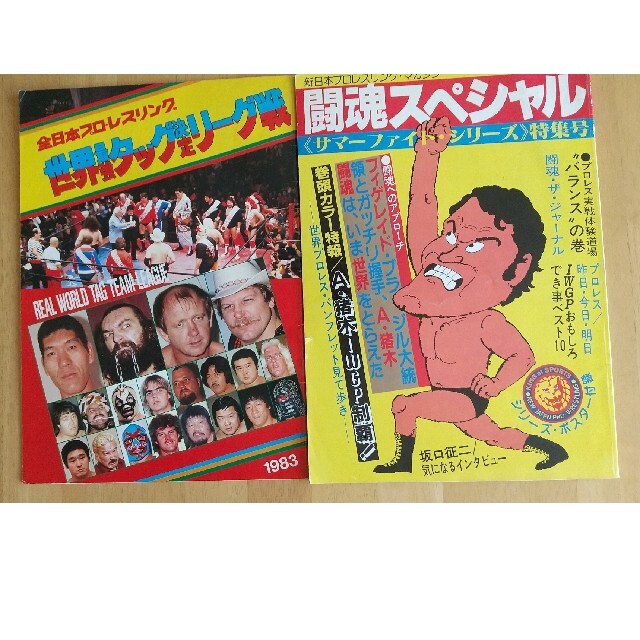 メール便無料】 プロレスパンフレット66年ゴールデンシリーズ戦 日本