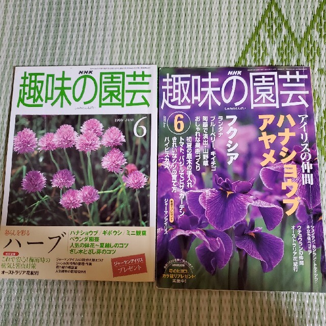 ⑨趣味の園芸　2冊セット エンタメ/ホビーの本(趣味/スポーツ/実用)の商品写真