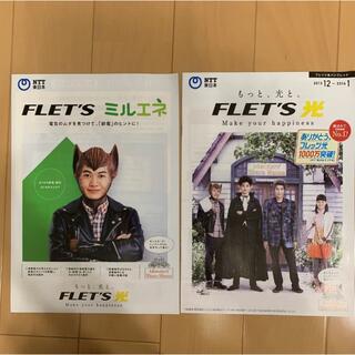 フレッツ光 パンフレット カタログ 2013年 (印刷物)