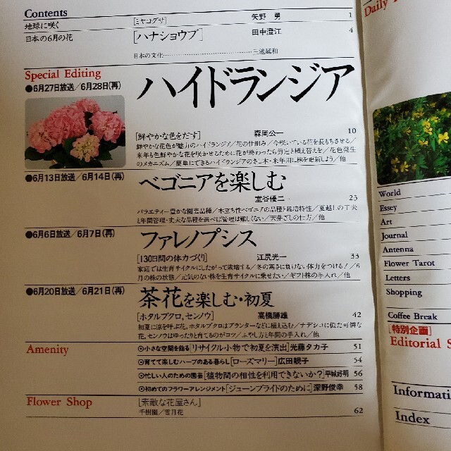 ⑧趣味の園芸　2冊セット エンタメ/ホビーの雑誌(専門誌)の商品写真