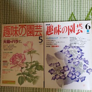 ⑧趣味の園芸　2冊セット(専門誌)