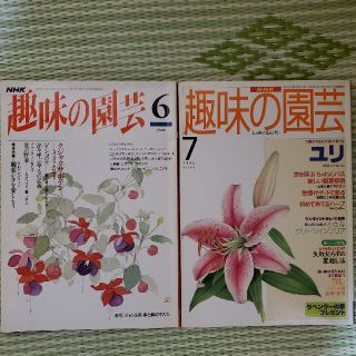 ⑥趣味の園芸　2冊セット(趣味/スポーツ/実用)