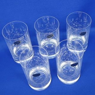 未使用 ボヘミア クリスタル タンブラー グラス 5個 セット 箱付き