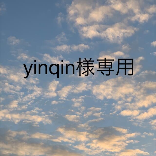 yinqin様専用 コスメ/美容のオーラルケア(歯磨き粉)の商品写真